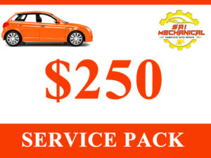$250 Service Pack