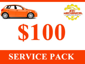 $100 Service Pack